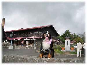 ��������̐l�œ�����Ă����I