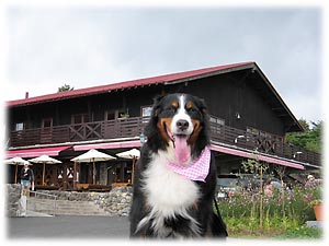 �������y������I