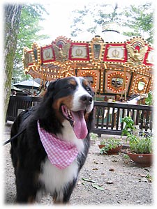 �y�������ȉ��y�����Ă��B