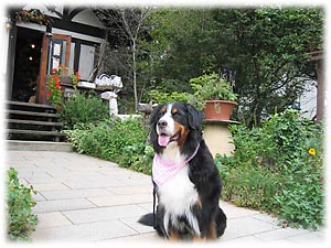 �Ԃ������ς��B���킢���ˁB