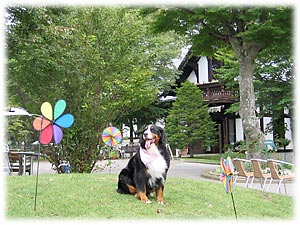 ���邭��܂���Ă��I