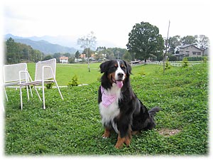 ���ꂢ�Ȍi�F���L�����Ă����B