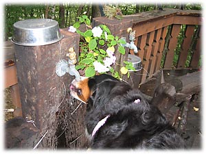 ���`��A���������I