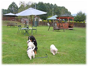 遊んでくれてありがとう。