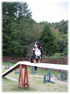 眺めがいいね。