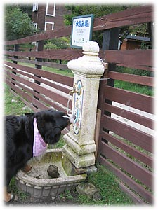 お水、おいしいよ!