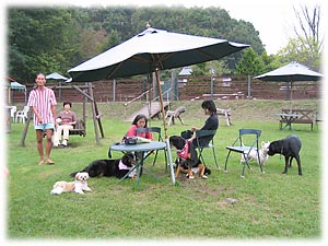 くつろぎタイム