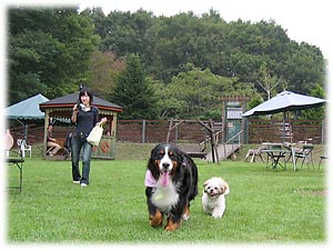 お友達、バイバイ!