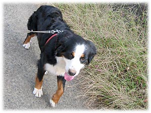 �R�R�����