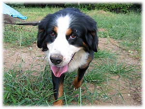 �R�R�����