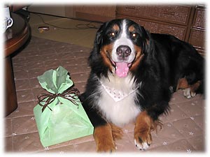 ���j�����Ă�������A�΁[�Ɂ[�B