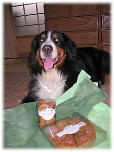 ���ꂵ���I�΁[�Ɂ[�B