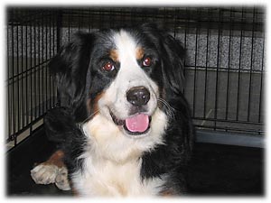 �R�R�����