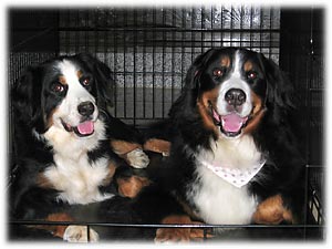 ���ǂ��Q�[�W�̒��ŁB