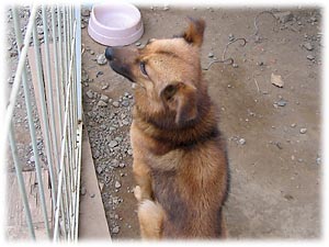 ����т����B