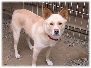 �S�������