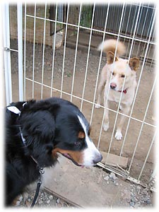 ���񂿂��Ƃ��ʂ�