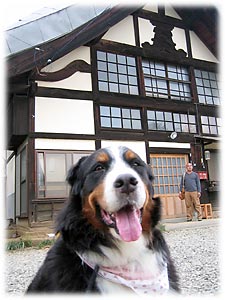 ���򎛂ɂ�����ł��B