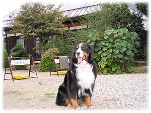 ����ł��B