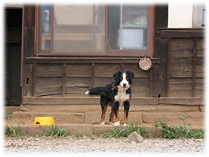 ���悤�Ȃ�A�R�R�����B