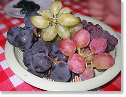 おいしいぶどうがいっぱい!
