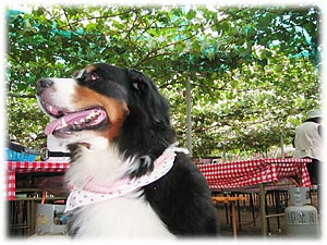 ばーにーももちろん一緒!