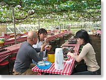 ぶどうの試食中!