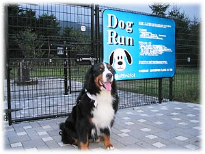 到着しました〜。