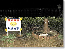 もう、ねむいですぅ。。。