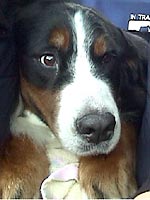 �ԓ��ł��낮�΁[�Ɂ[�B