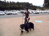 �r�D�`�����U�����I