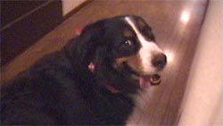 �Q�K�̘L��������΁[�Ɂ[�B