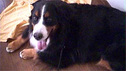 �N�[���[�̕��������B���b�L�[�I