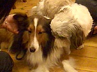 とっても仲良しだよ。