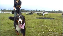 �܂��΂𑖂�΁[�Ɂ[�I