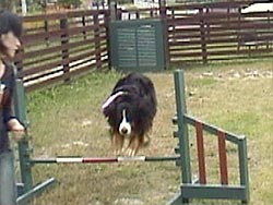 �W�����v�I