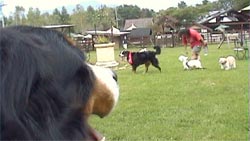 ���F�B�������ς�����I