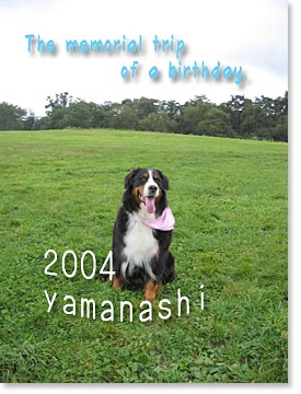 2004�@�΁[�Ɂ[�̎R�����s