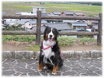 �u�������������񂾂��I�v