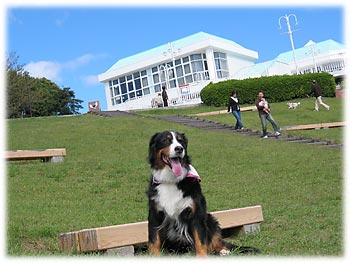 �u�l���΂����ꂢ���ˁB�v