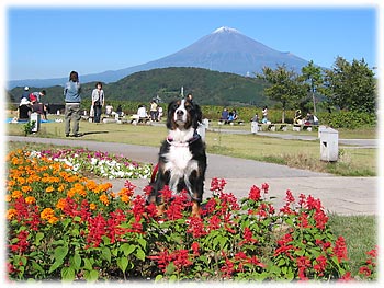 �u���U�����y������`�B�v