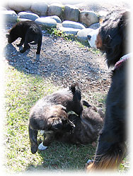 �u�e�������A�����o�������Ƃ����ˁB�v