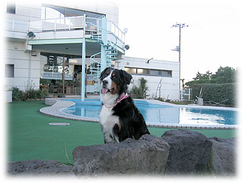 �u�ӊO�Ƀv�[���T�C�h���y������B�v