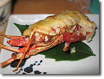 ���M�@�ɐ��C�V�O���^��