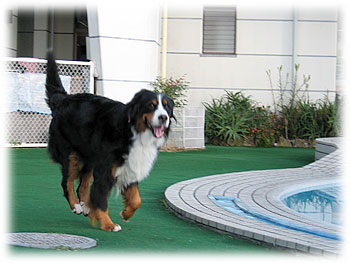 �u�����̒��͋C����������B�v