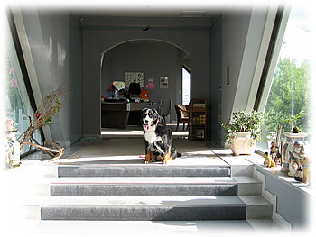 �u�������o�ă��r�[�𔲂��āE�E�E�B�v