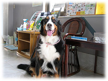 �u�������y�������I�v