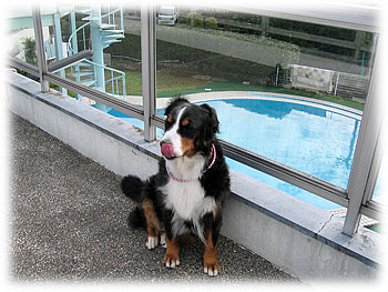 �u�j���͓��ӂ����ǁA�����H�̋C�z������ˁB�v