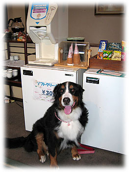 �u�\�t�g�N���[���A��D���I�v