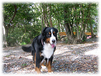 �u������������������B�v